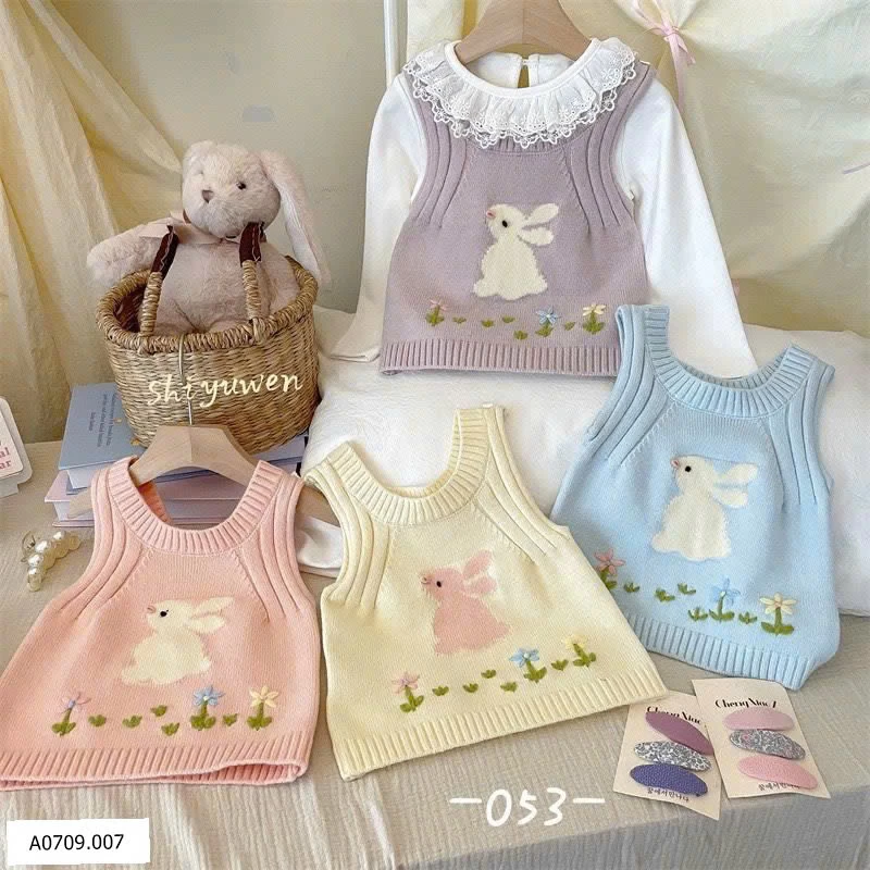 Áo gile tiểu thư   Giá sỉ 85k 