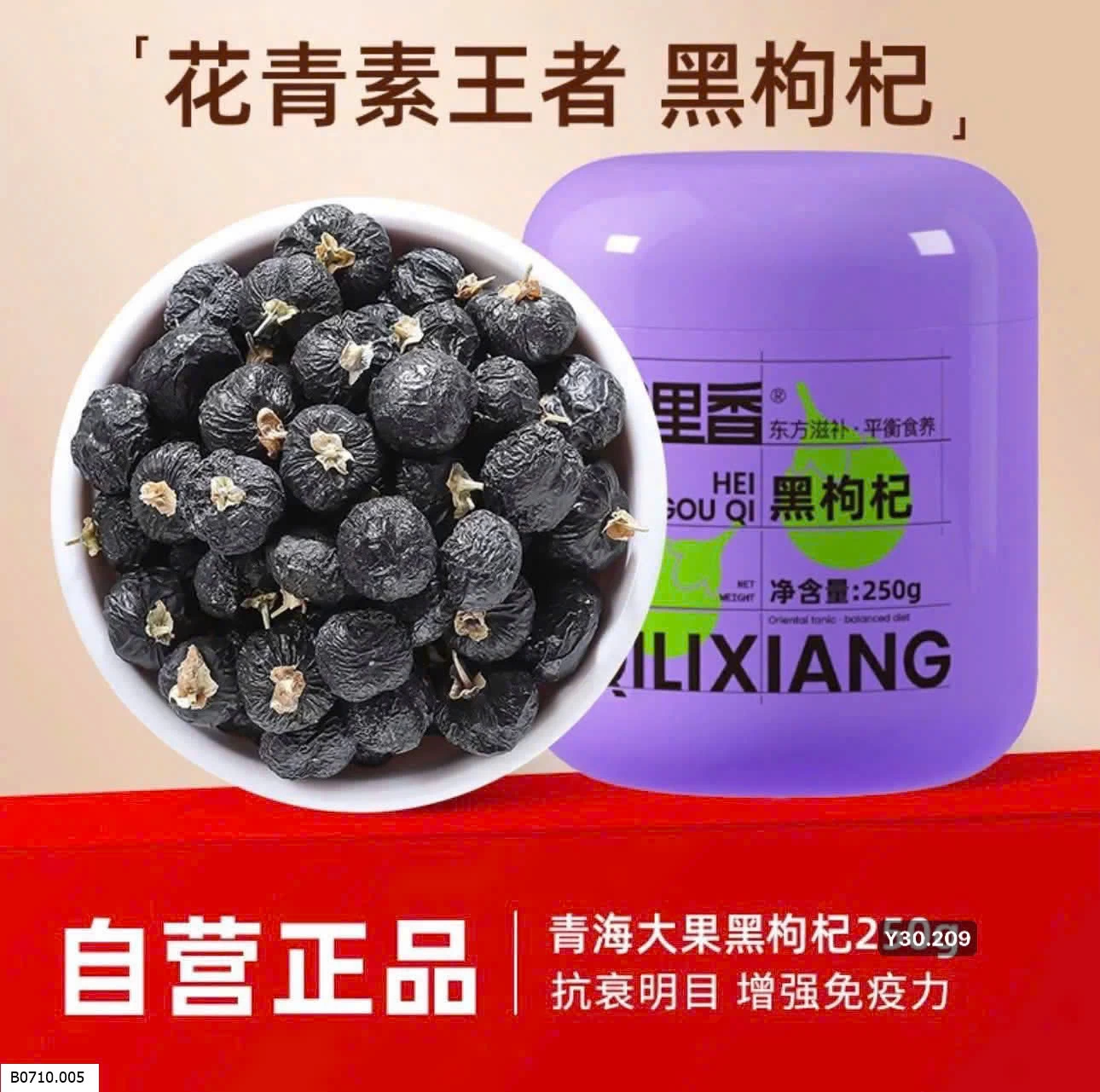 HẮC KÌ TỬ XỊN XÒ   Giá sỉ 110k