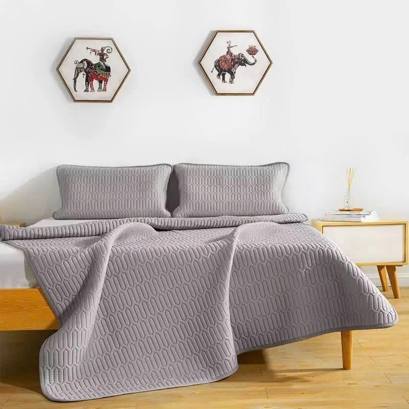 CHIẾU ĐIỀU HÒA MÀU GHI  KÈM 2 VỎ GỐI SỈ 220K 