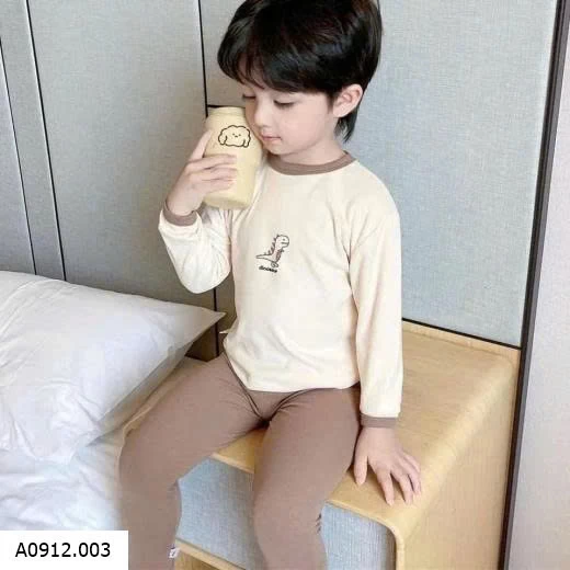 BỘ DÀI TAY CHO BÉ 7 MẪU  Giá sỉ 80-110: 64k/1 bộ 120-150 : 79k/1 bộ