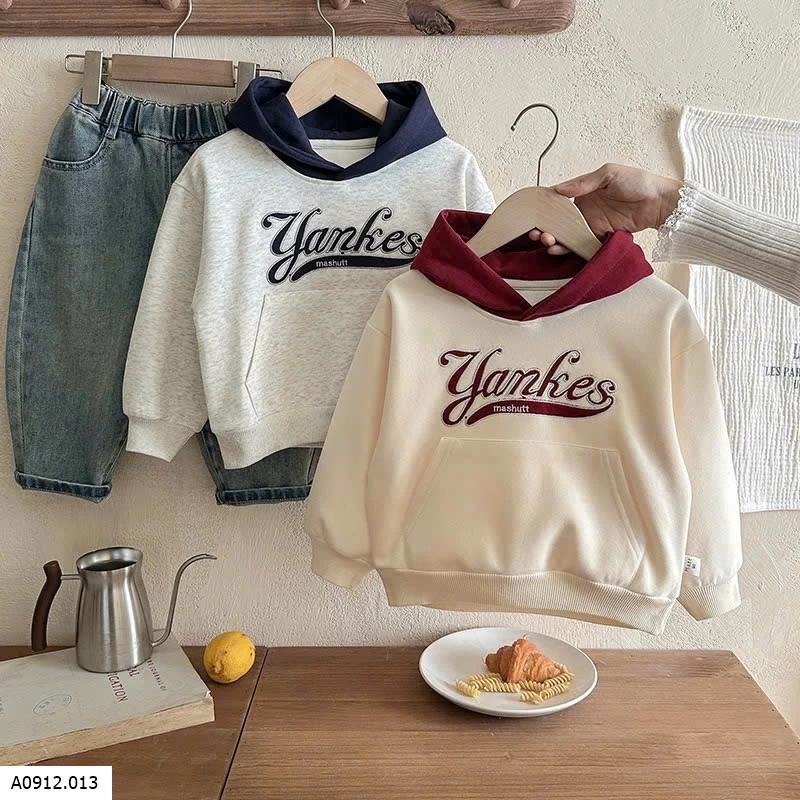 HOODIE TÚI TRƯỚC PHỐI MÀU MŨ  Giá sỉ 164k