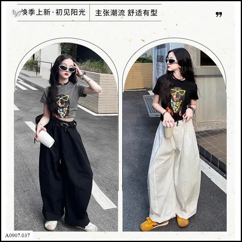 SET ÁO CỘC TAY MIX QUẦN ỐNG RỘNG BG Sỉ giá áo: 112k  quần: 155k 