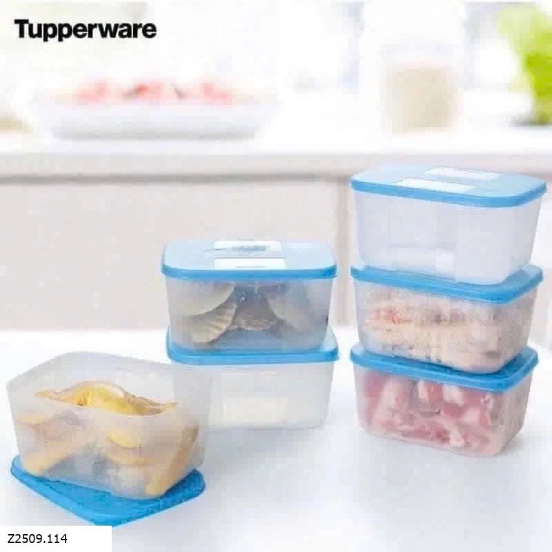 SET 4 HỘP TUPPERWARE NGĂN ĐÔNG không BOX Sỉ giá 270