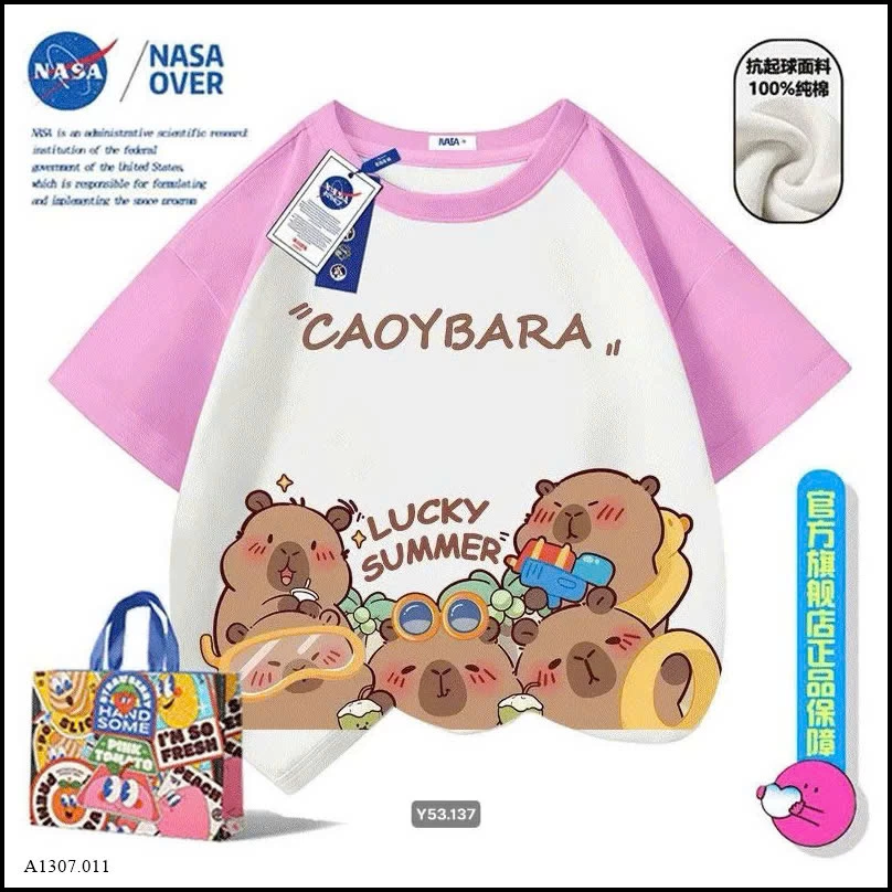 ÁO PHÔNG CAPYBARA NASA  Sỉ giá 135k