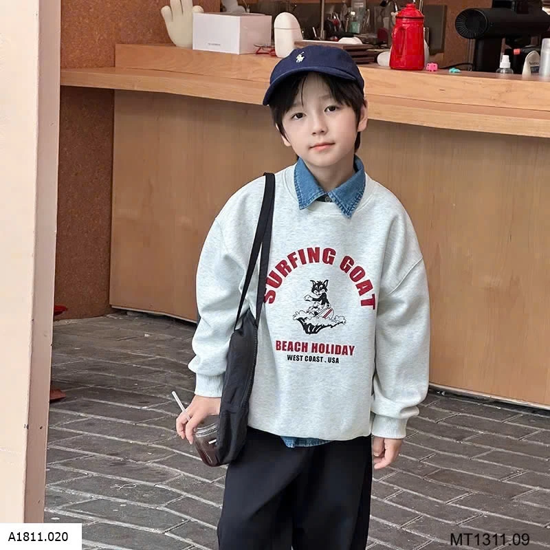 ÁO NỈ AMBB Giá sỉ 150k