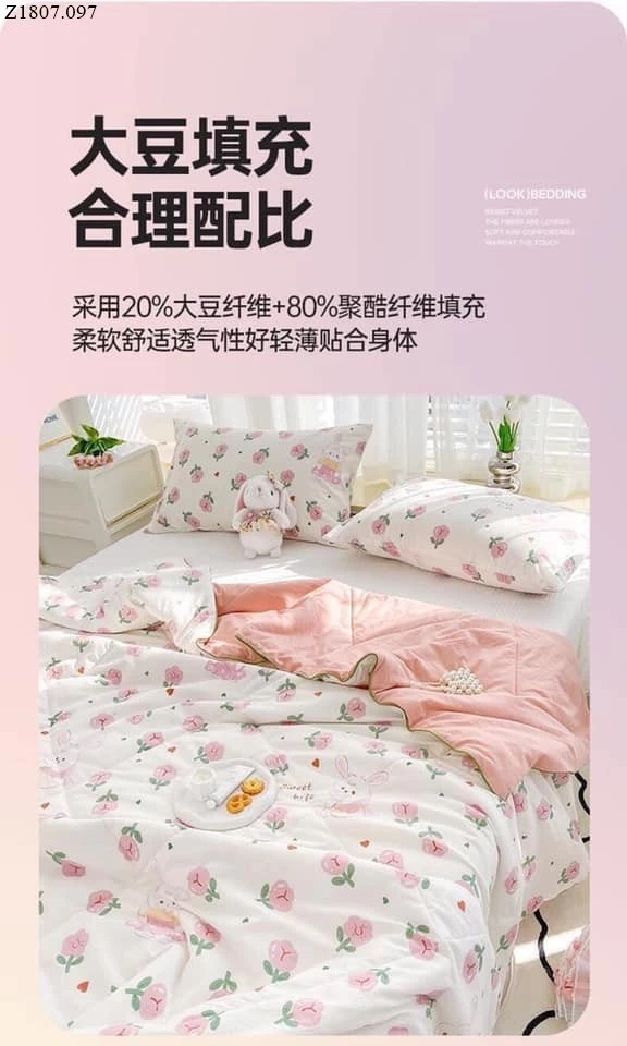 CHĂN ĐŨI COTTON HÈ XUẤT HÀN Sỉ 186k