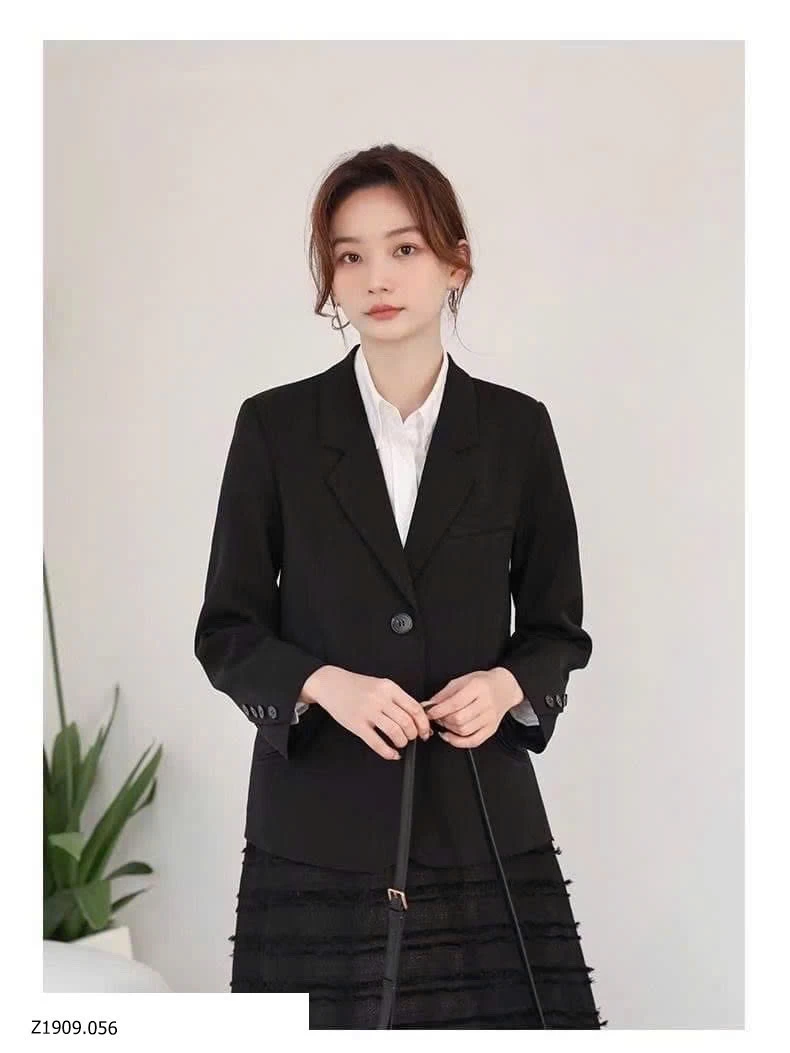 Áo blazer xinh xắn   Giá sỉ 150k