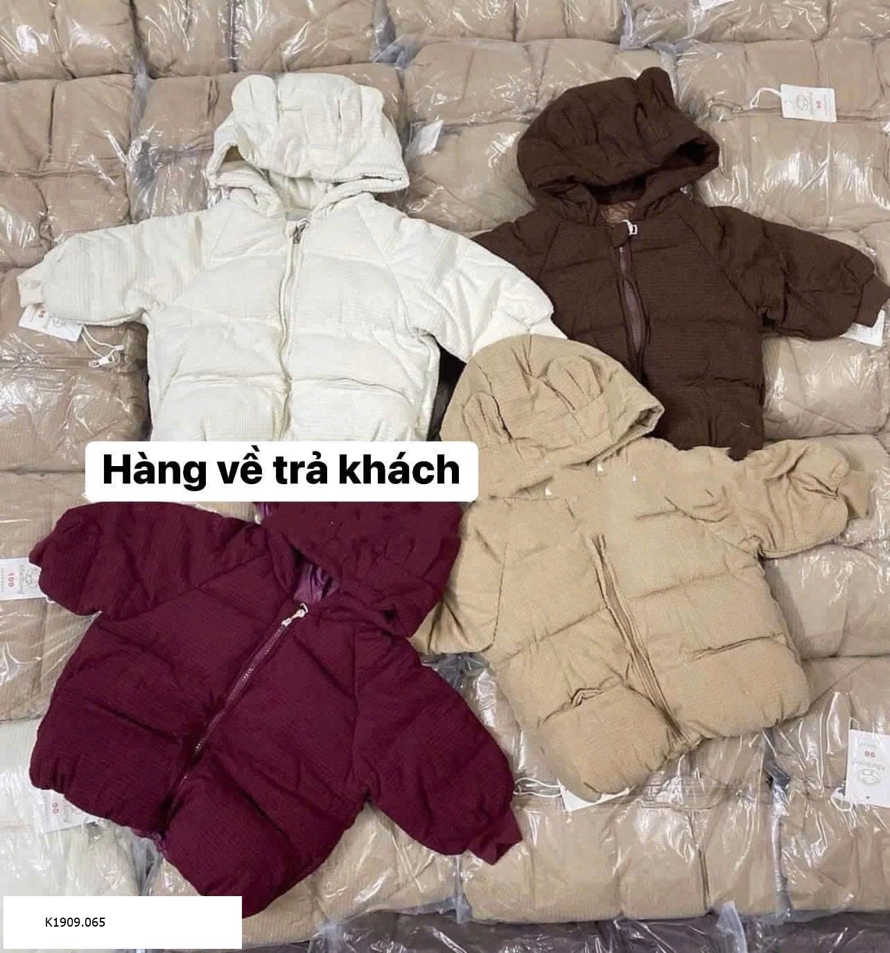 Áo khoác style Hàn Giá sỉ 175k