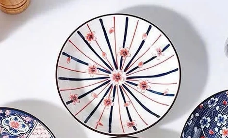 SET 6 ĐĨA SIZE TO CÙNG MÀU  Giá sỉ 110k