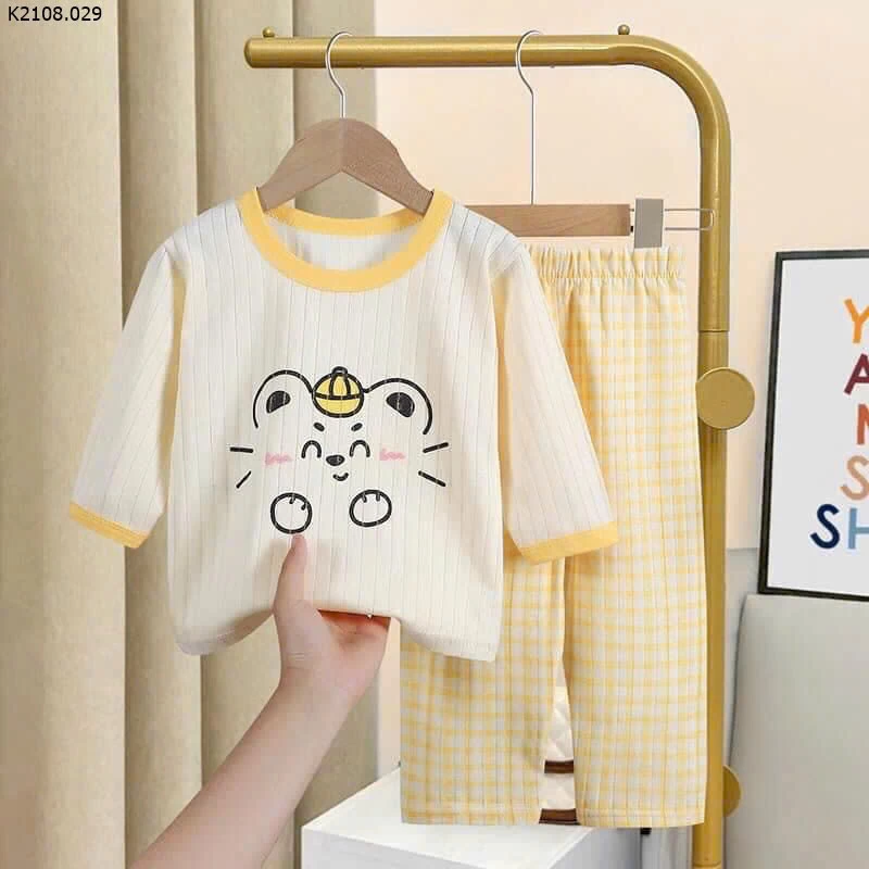 BỘ COTTON GIẤY XUẤT HÀN   Si Sz 73-110: 53k/b Sz 120-150: 67k/b