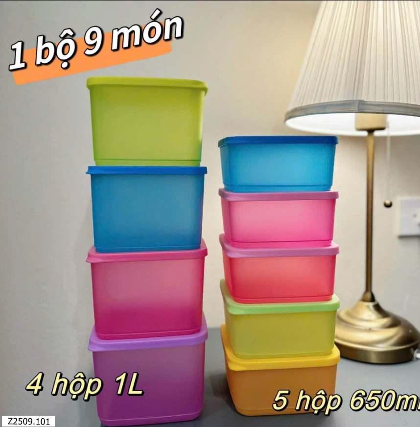 Set 9 hộp siêu tiện   SỈ giá 265