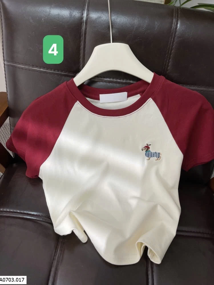 ÁO THÊU CÚN PHỐI MÀU TAY Sỉ 105k 