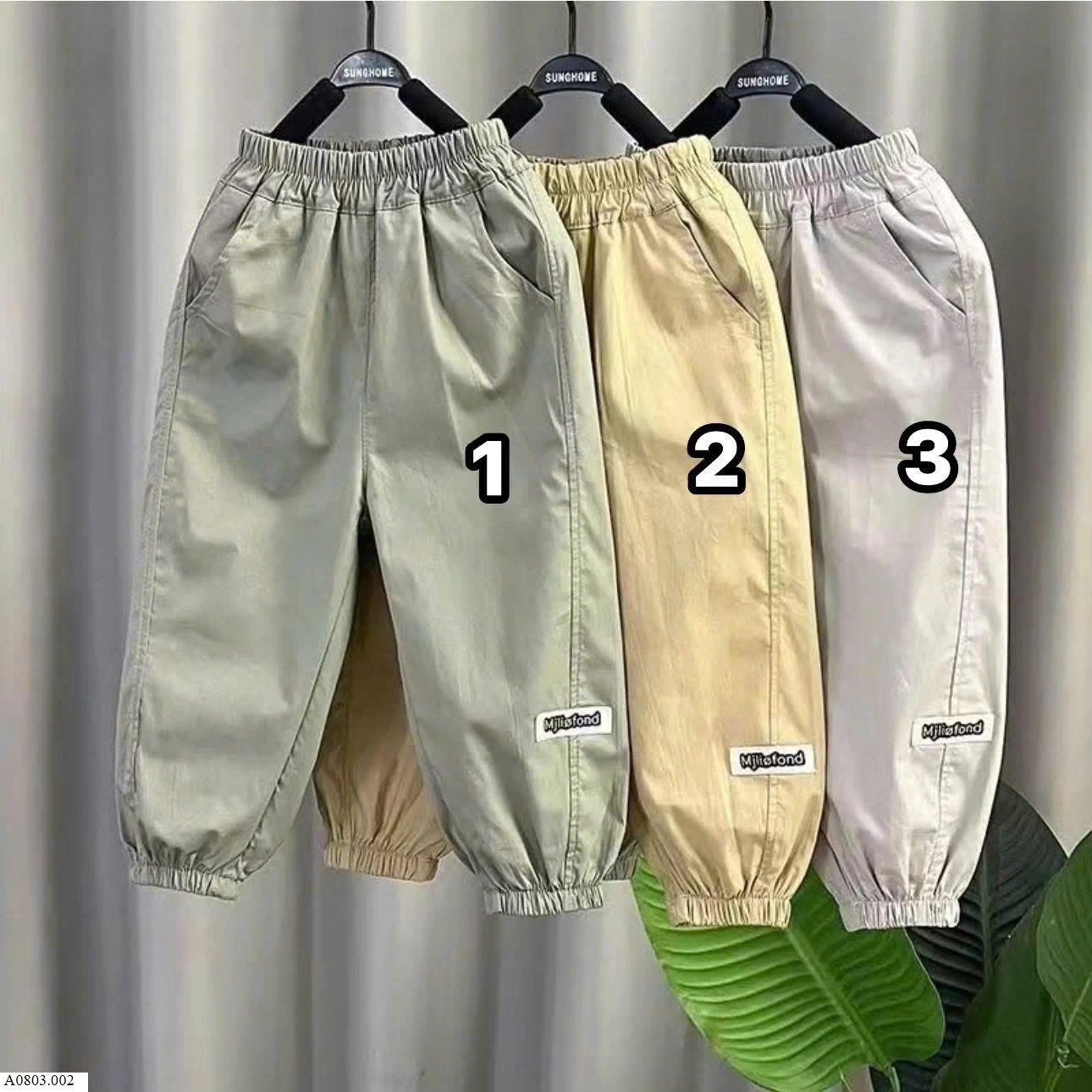 QUẦN BO CHUN BÉ TRAI  Sỉ 58k