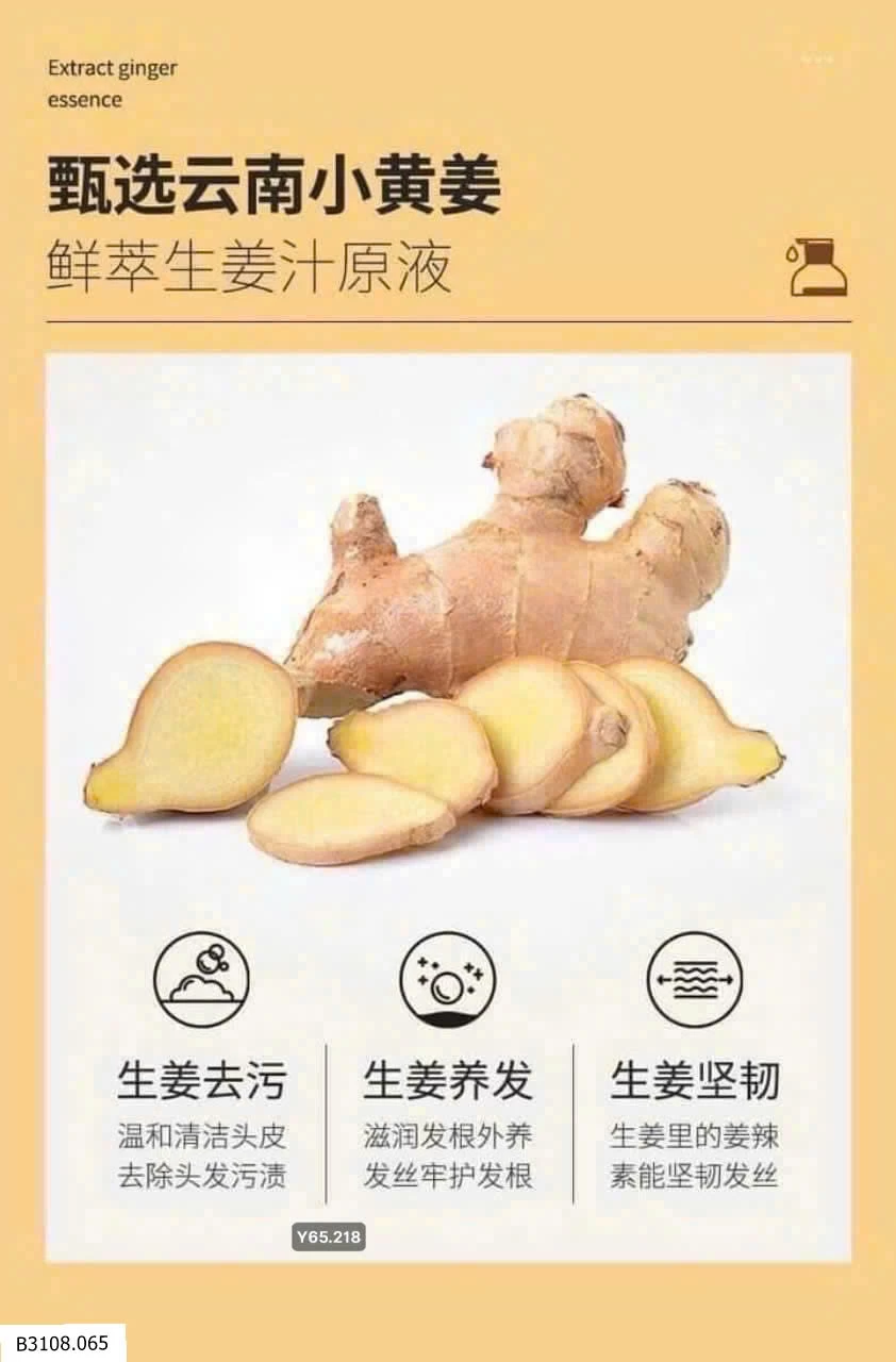 DẦU GỘI GỪNG CU.ZIN   Giá sỉ 80k