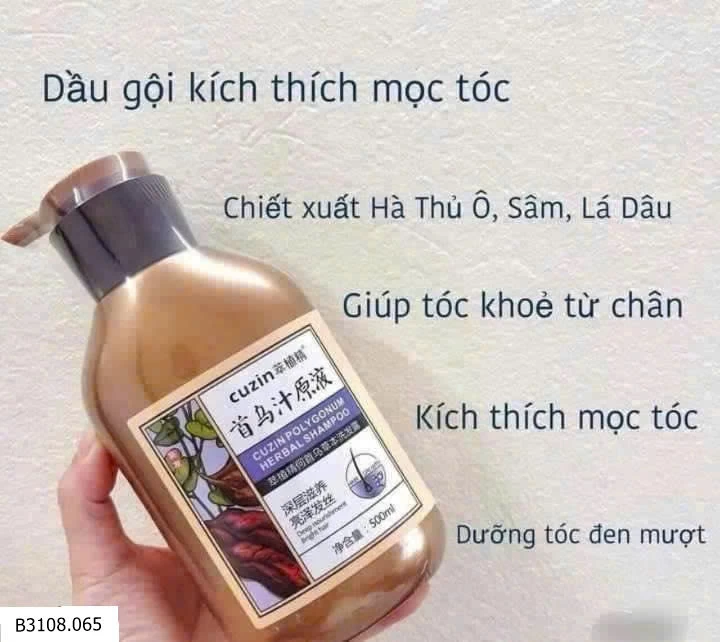 DẦU GỘI GỪNG CU.ZIN   Giá sỉ 80k