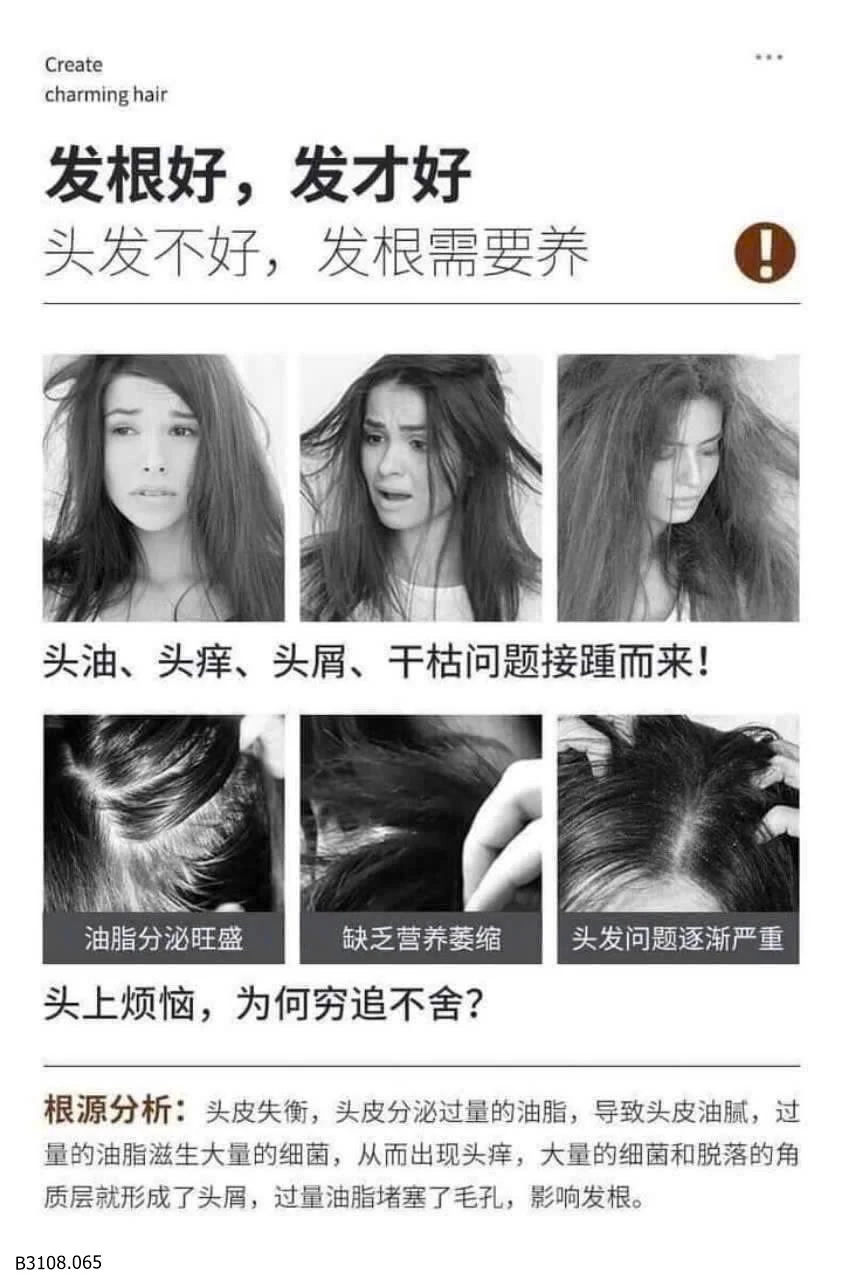 DẦU GỘI GỪNG CU.ZIN   Giá sỉ 80k