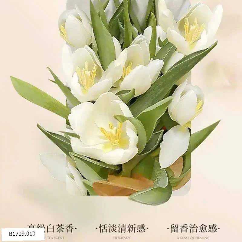 Sữa tắm hương hoa trà nội địa Trung   Giá sỉ  67k/1 chai