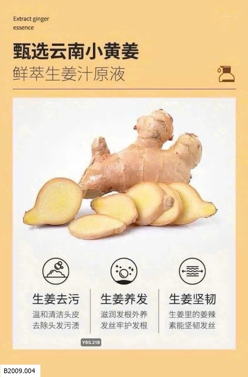 DẦU GỘI GỪNG CU.ZIN  Giá sỉ 80k 1 chai
