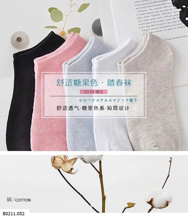 SÉT 10Đ TẤT NỮ TRƠN MÀU  Giá sỉ 60k/set 10 đôi