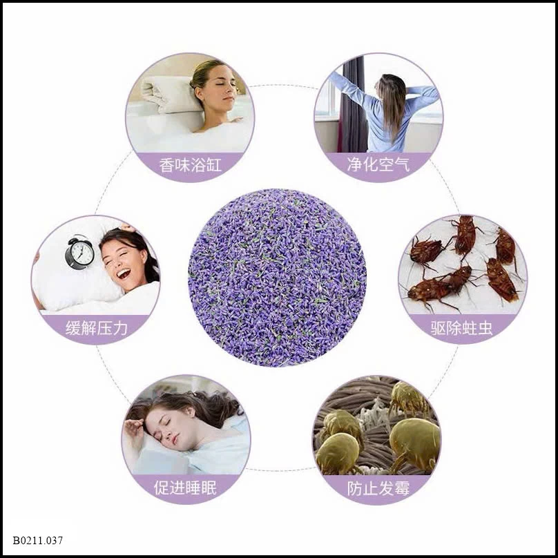 Túi Thơm Hoa Oải Hương (Lavender Sachet)  Giá sỉ 80k/ 10 gói