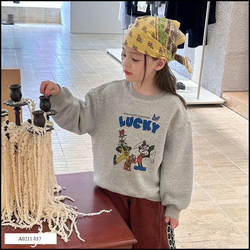 ÁO HOODIE  AMBB LÓT NỈ   Giá sỉ  90-150    180k      160-170     210k