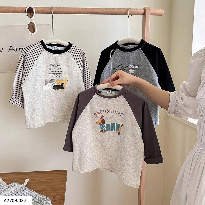 ÁO THUN DÀI TAY HỌA TIẾT CHÓ DACHSHUND  Giá sỉ 85k