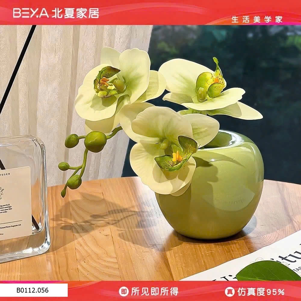 BÌNH HOA LAN MINI DECOR Giá sỉ 110k