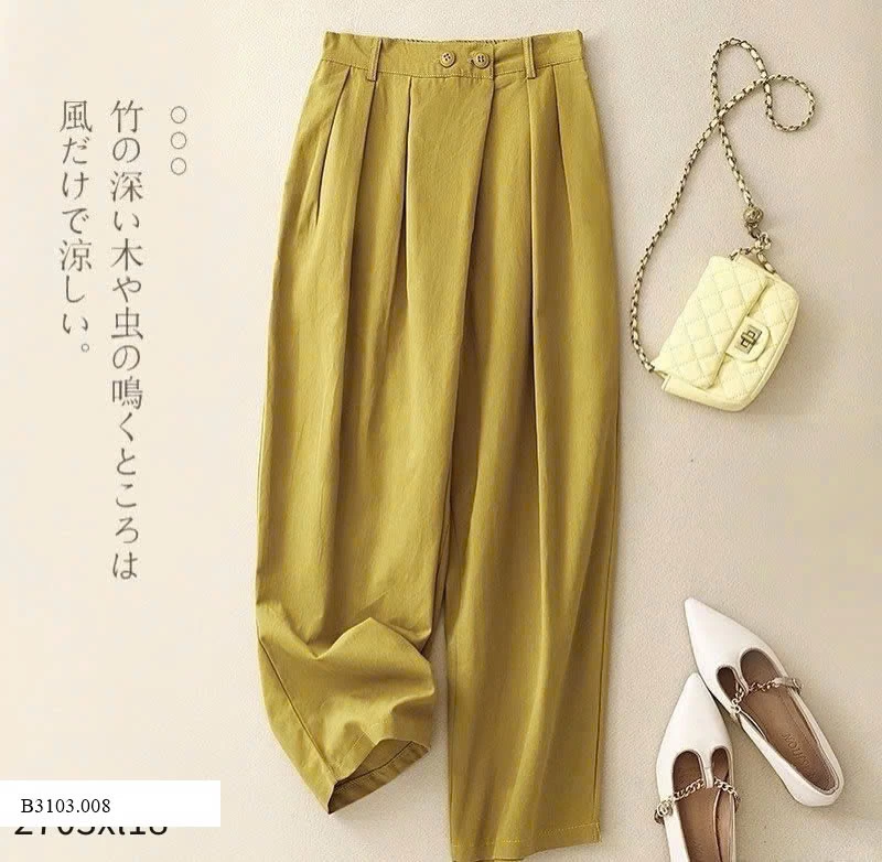 QUẦN BAGGY XẾP LI Sỉ 180