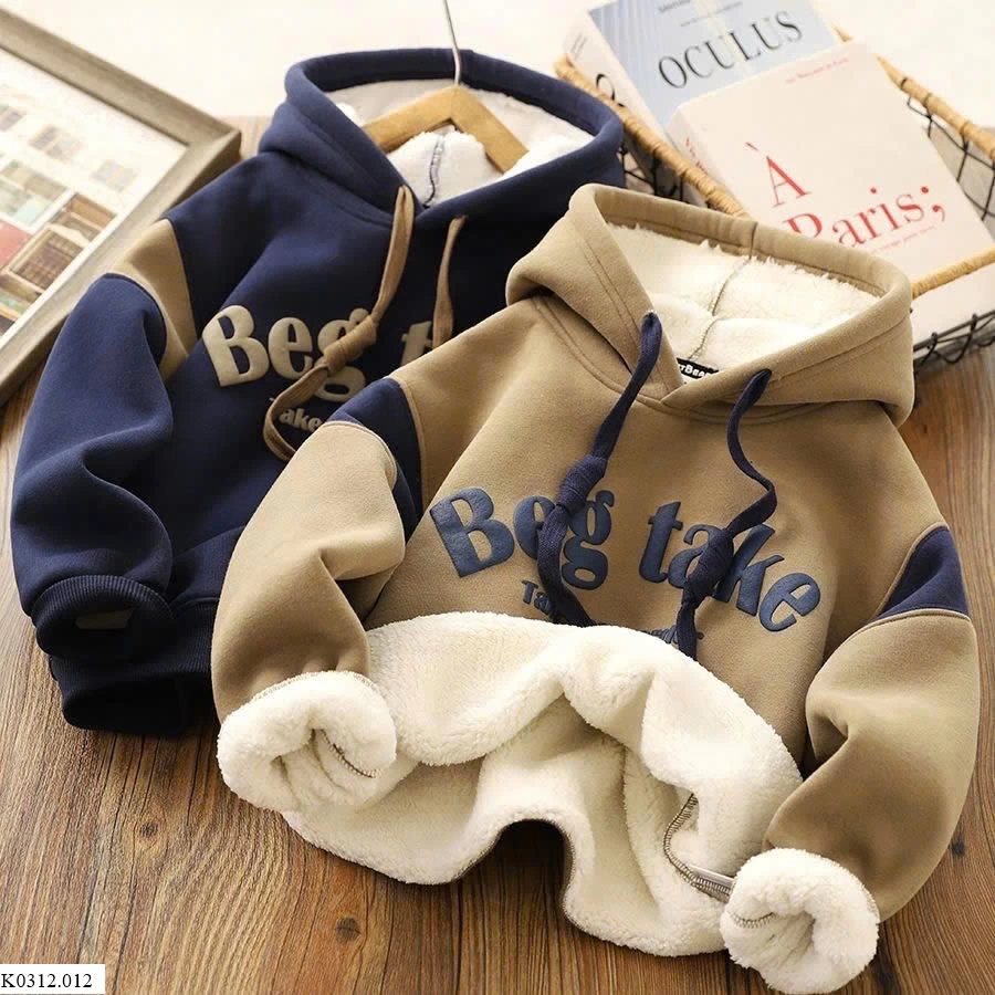 ÁO NỈ HOODIE LÓT LÔNG BÉ TRAI  Sỉ 130k