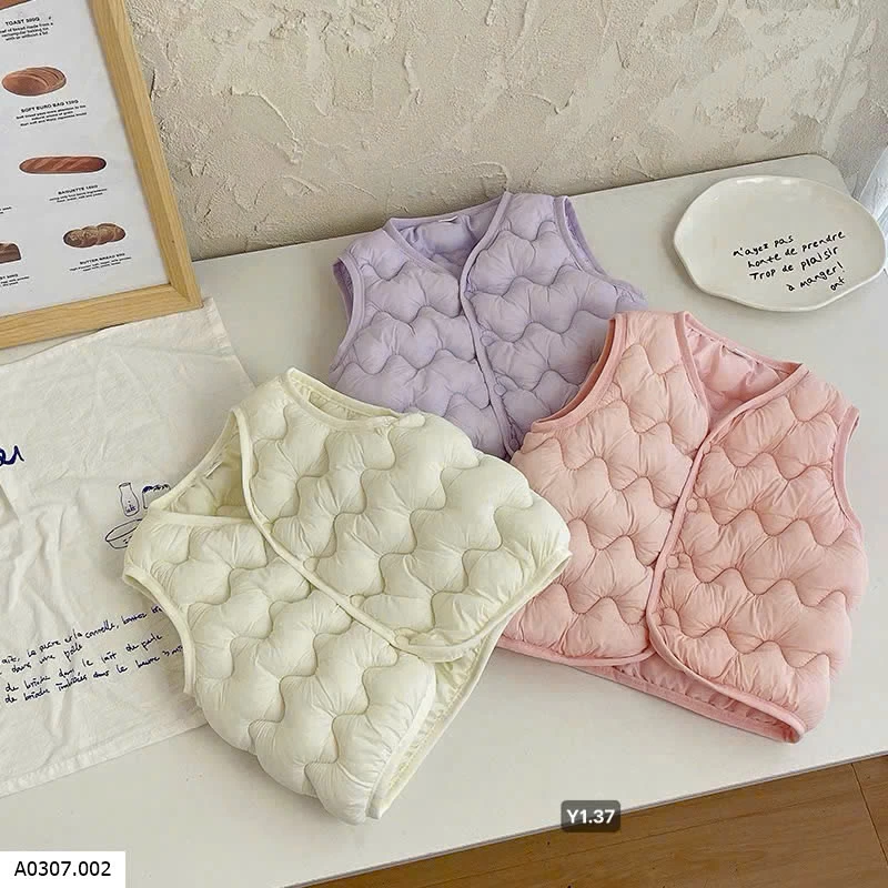 Áo gile màu  Sỉ 60k/1 chiếc
